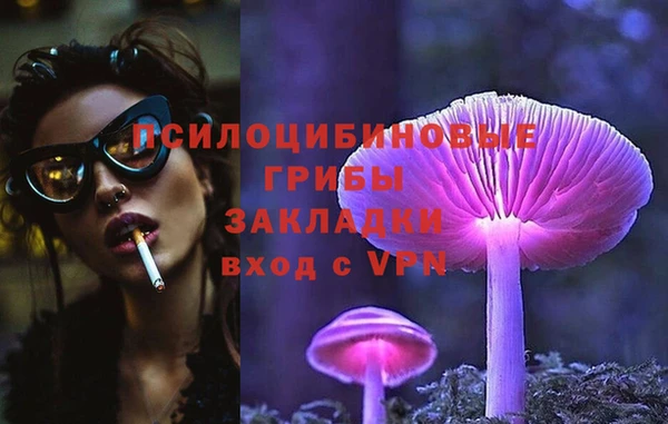 сатива Киреевск