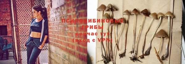 дмт Кодинск