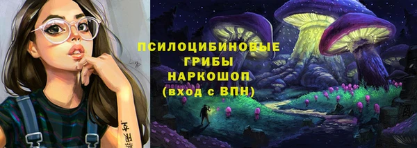 амф Козловка