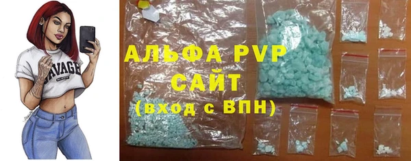 амф Козловка