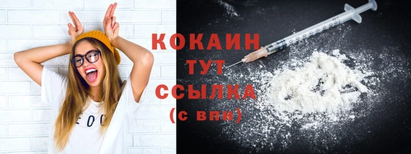 амф Козловка